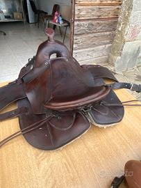 Sella monta americana