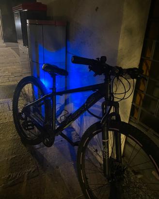 Bici xeris