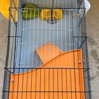 gabbia  per roditori + accessori