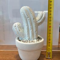 Soprammobile cactus