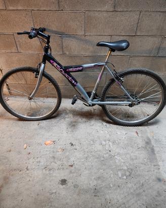 Bicicletta
