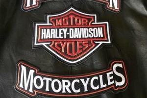 3 Toppe Toppa Patch Patches Logo Harley Davidson