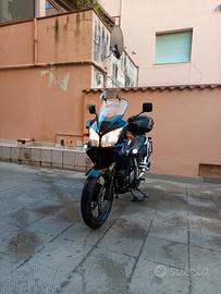 suzuky v strom 1000 dl