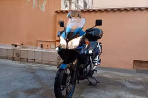 suzuky v strom 1000 dl