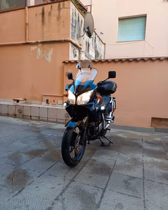 suzuky v strom 1000 dl