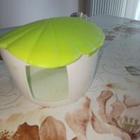 acessori