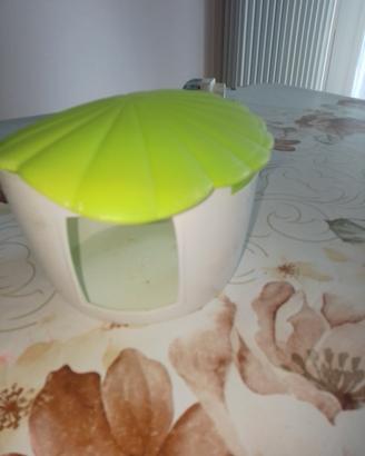 acessori