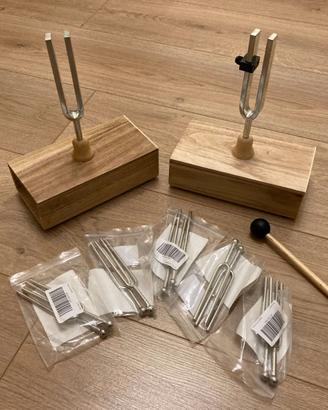 Set di diapason / accordatori