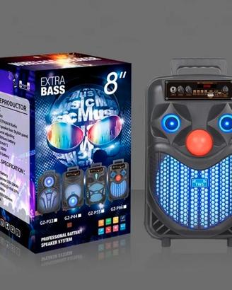 Cassa bluetooth portatile karaoke 300 watt pmpo 