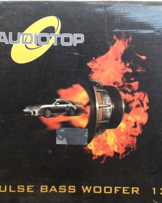 SUBWOOFER HI FI CAR