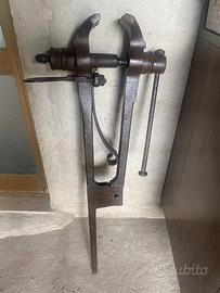 Vecchia morsa con gambo