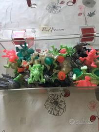 Kombattini e exogini