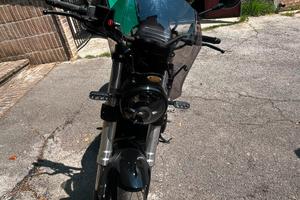 Benelli Leoncino 500