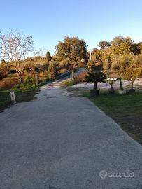 Terreno agricolo 