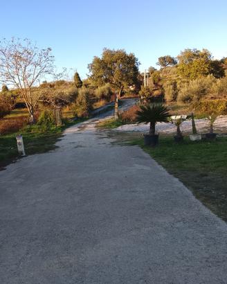 Terreno agricolo 