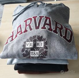 5 felpe con cappuccio