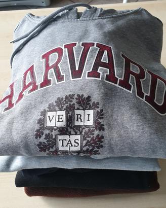 5 felpe con cappuccio