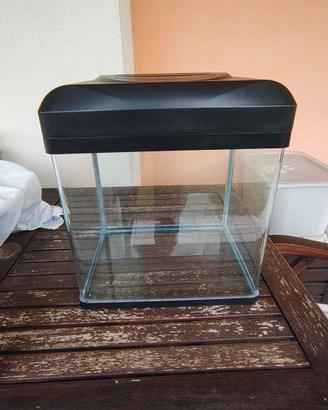 Acquario