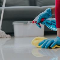 Colf / lavoro domestico