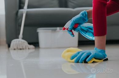Collaboratrice domestica