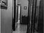 Immagine 7