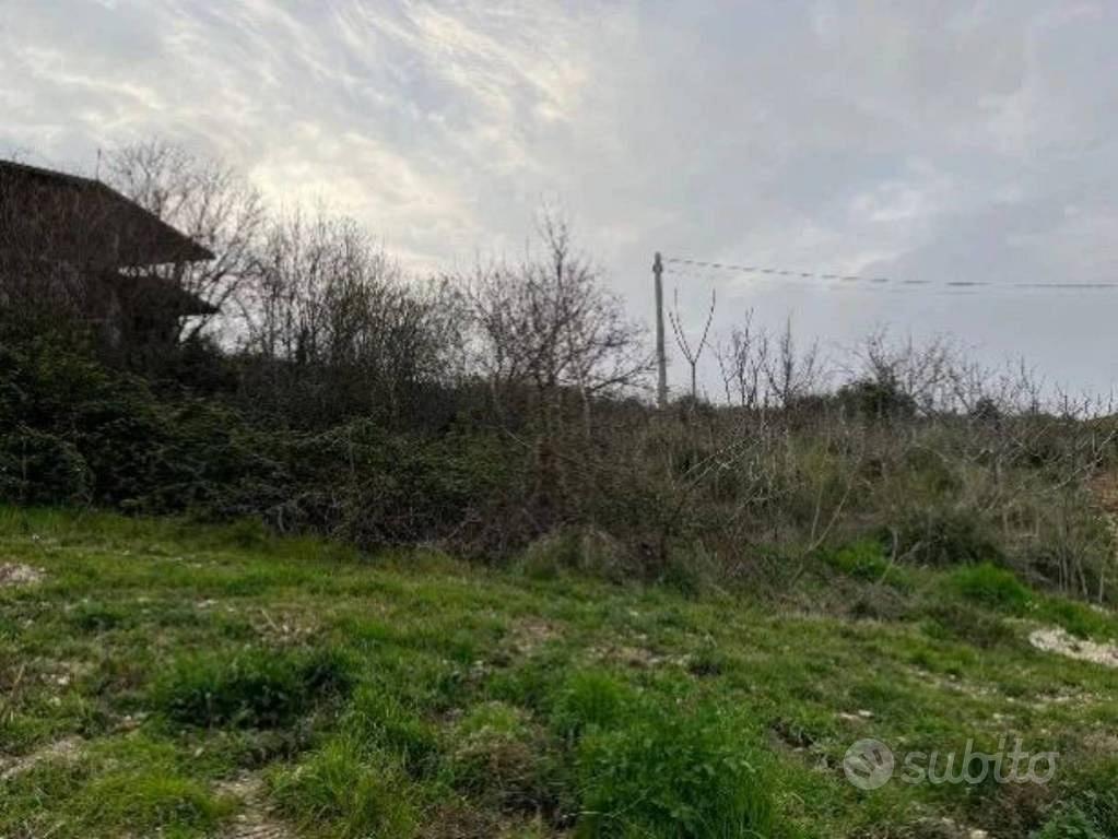 Immobile in asta di 1265 m² a Ripatransone - Vista 2