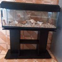 Acquario 120 litri