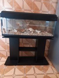 Acquario 120 litri