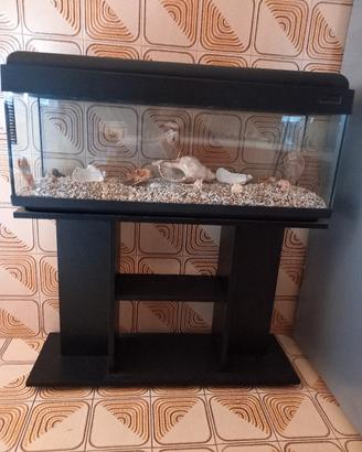 Acquario 120 litri