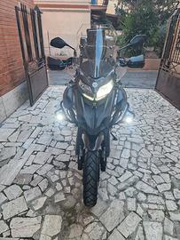 Benelli Trk 502x imm. 07/2024