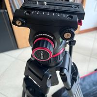 Treppiede Neewer con testa fluida