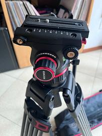 Treppiede Neewer con testa fluida