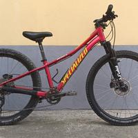 Specialized RipRock 24" in alluminio per bambino