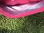 Immagine 6