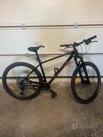 Due Biciclette carbonio