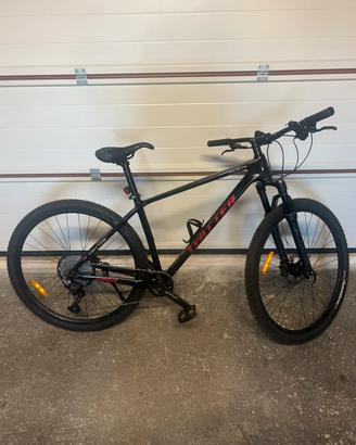 Due Biciclette carbonio