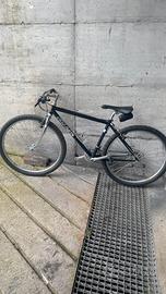 Mtb da ragazzo,  ragazza