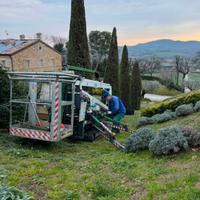 Piattaforma aerea cingolata