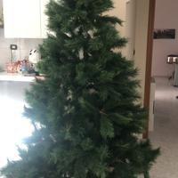 Albero di natale
