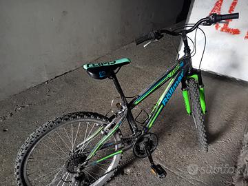bicicletta