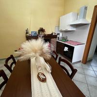 2 LOCALI A SPEZZANO DELLA SILA