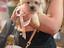 Immagine 11