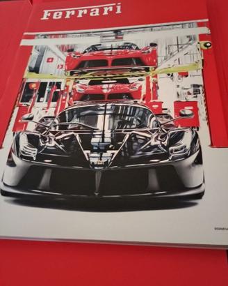 libri collezione: Ferrari annuario 2013