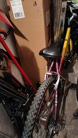 Bici mounting-bike donna Olmo