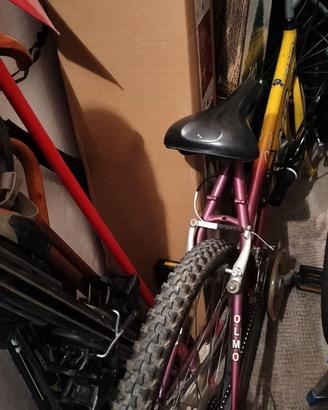 Bici mounting-bike donna Olmo