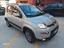Immagine 4