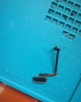 Tasto home Samsung galaxy s6