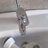 Lavandini con colonna