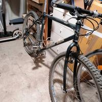 MTB DiamondBack Apex