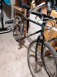 MTB DiamondBack Apex